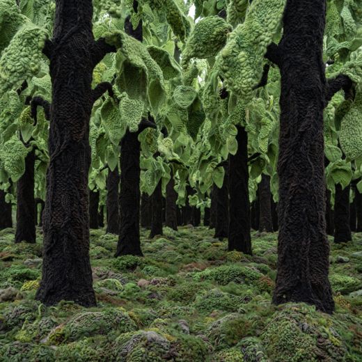 Misty Green Forest Trees — free Seasons in Yarn knitted art print
