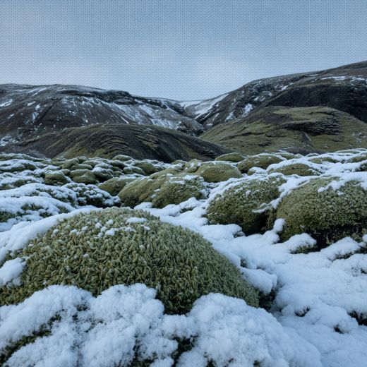 Snowy Moss Valley — free Seasons in Yarn knitted art print